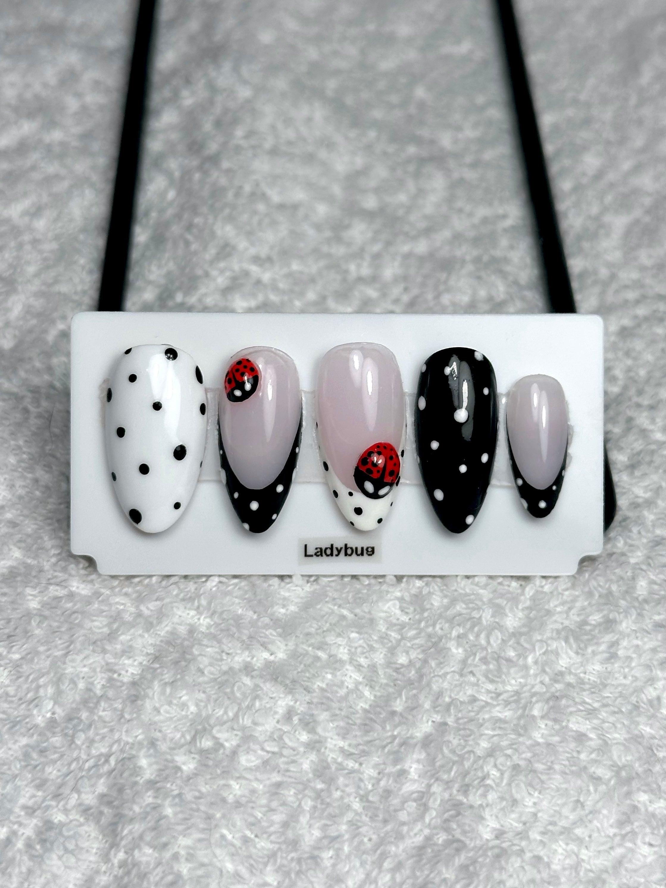 Ladybug 🐞