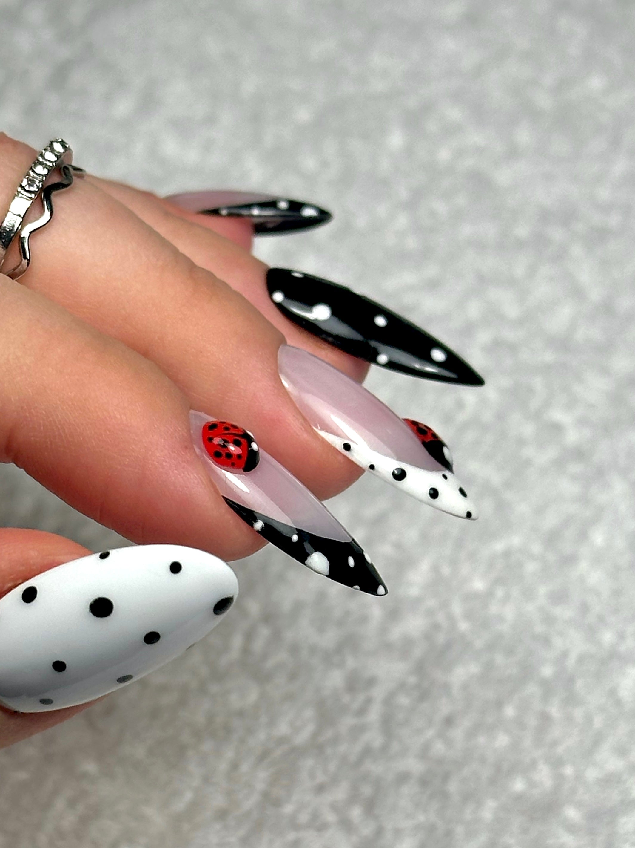 Ladybug 🐞
