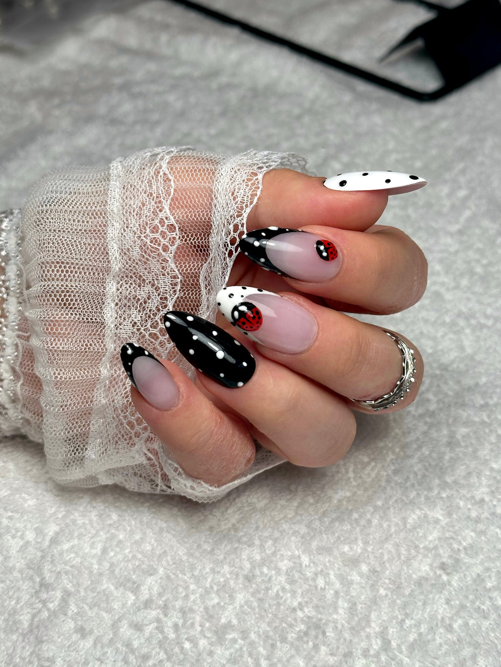 Ladybug 🐞