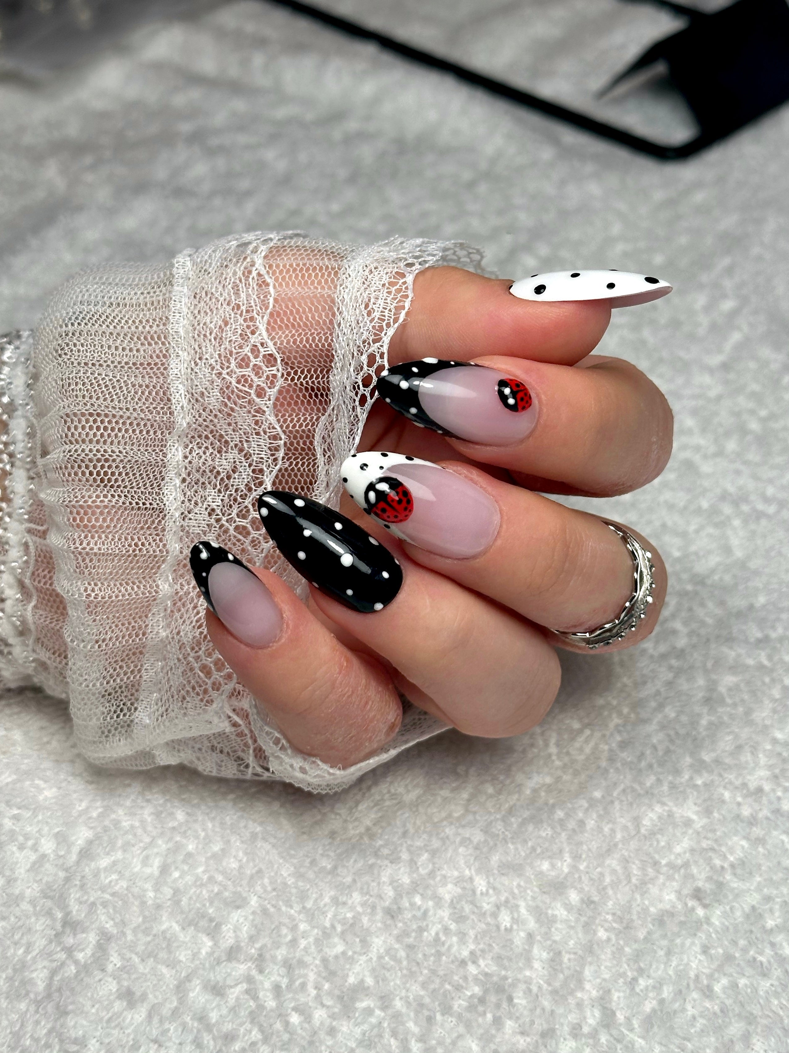 Ladybug 🐞